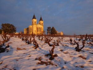 Domaine Thomas RIVIER